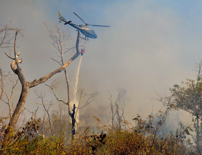 Forças Armadas lançam um milhão de litros de água na região do Pantanal