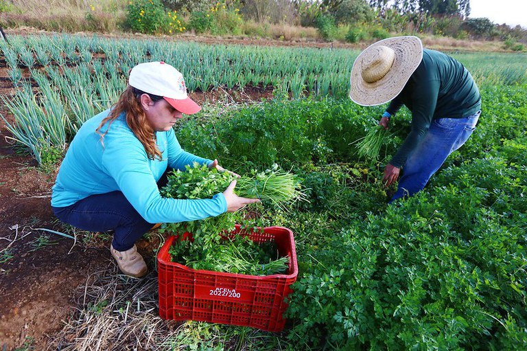 Esforços conjuntos visam capacitar 100 milhões de pequenos produtores e agricultores familiares