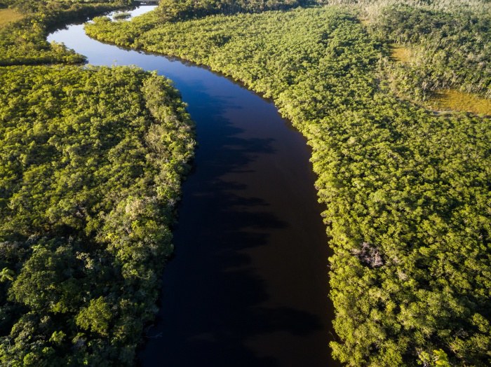 Fundo Amazônia tem nova doação de US$ 60 milhões da Noruega